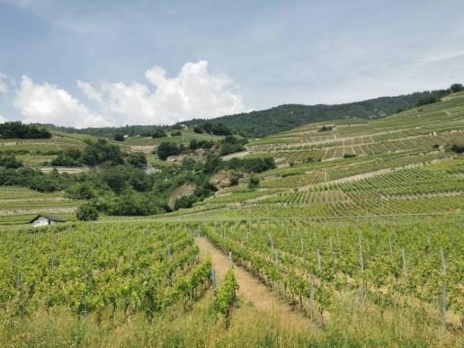 unterwegs im Wallis
