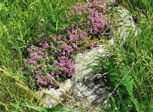 wieder unten im Dorf Macugnaga