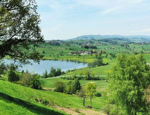 in Hütten