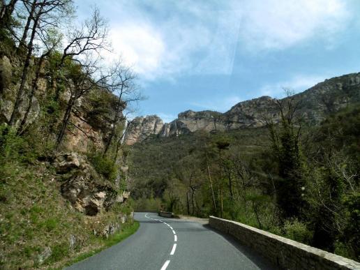 wir fahren durch die „Gorges du Tarn“, die Tarn-Schlucht