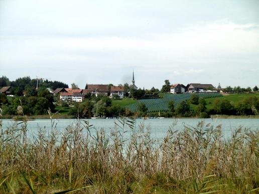 wir wandern rund um den Pfäffikersee