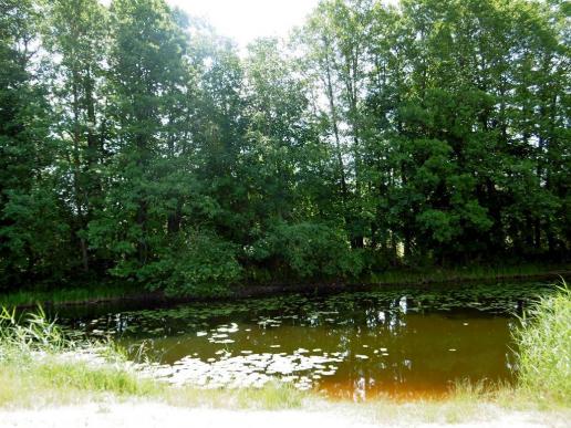 Mittagspause am kleinen See