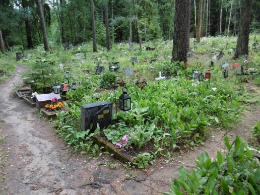 auf dem „Haustierfriedhof“