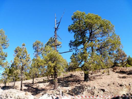 wir fahren zum Berg Teide